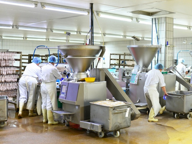 PERSONAL DE FÁBRICA - PRODUCCIÓ - TRIPERIA
